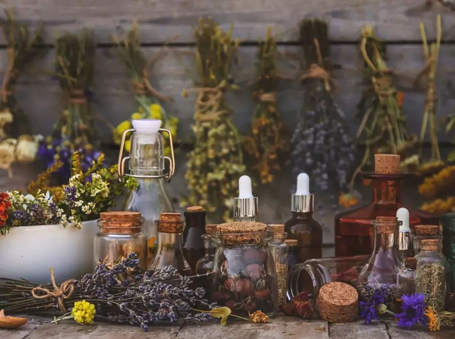 Herbal Protocols for Hormonal Acne